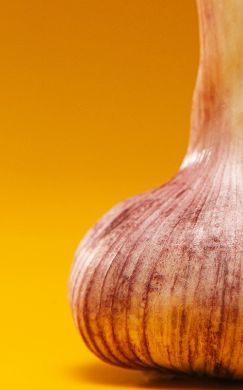 Case for Macro Benefits (Of Elephants and Blind Men) Published 2002