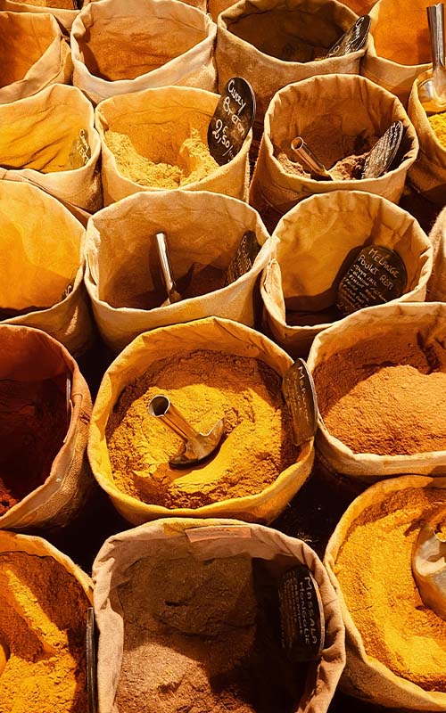 Case of surviving the Indian Marketplace Published 2004